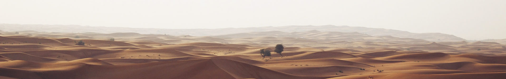 ɽŷŵŴƼ޹˾